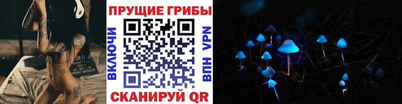 Галлюциногенные грибы Psilocybe  Купить закладки  Давлеканово 